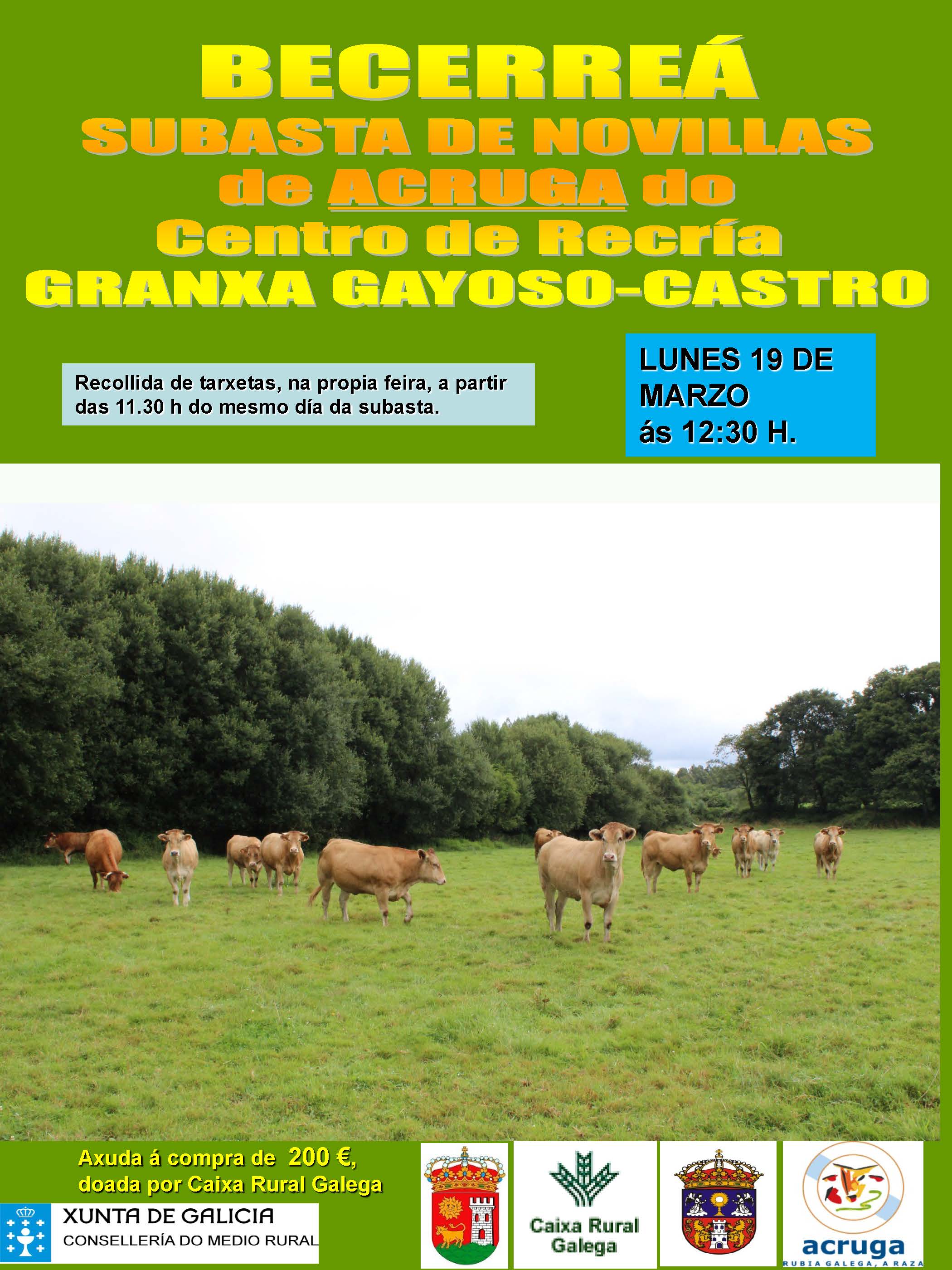 IMG_CARTEL_SUBASTA_ACRUGA_19-3-2018