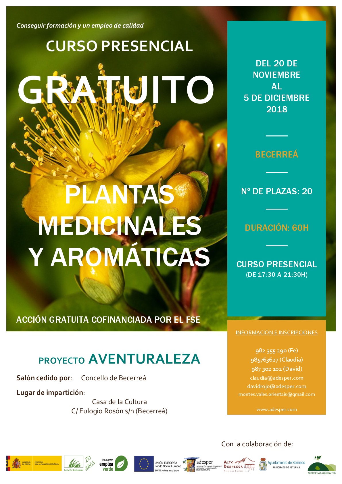 CARTEL CURSO PLANTAS MEDICINALES Y AROMTICAS