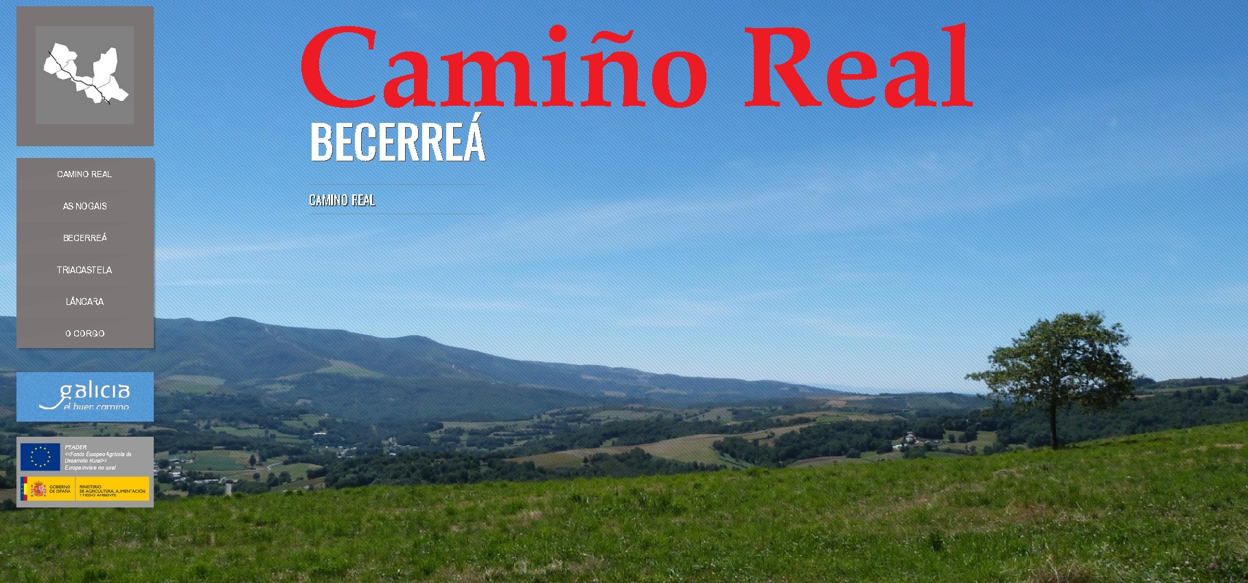 Logo_camio_real
